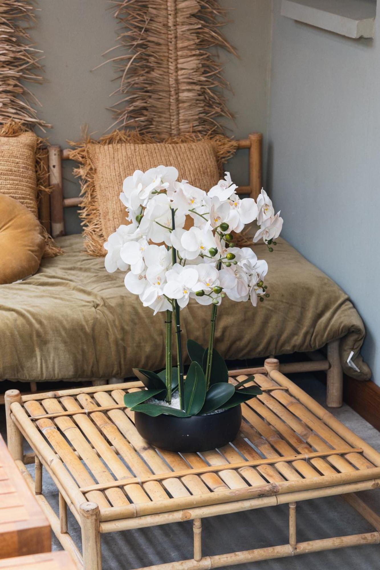 Coco Lagon Acces Plage Saint-Paul Ngoại thất bức ảnh